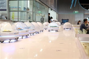 常德晚报多媒体数字报刊平台的展览服务