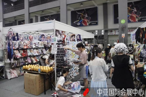 会展服务全解析 聚焦展览服务的核心类型